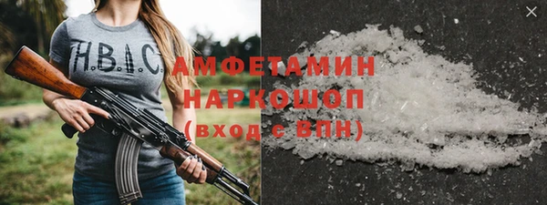 гидра Арсеньев