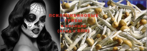 гидра Арсеньев