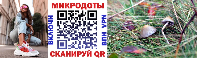 Галлюциногенные грибы Psilocybine cubensis  Саки 